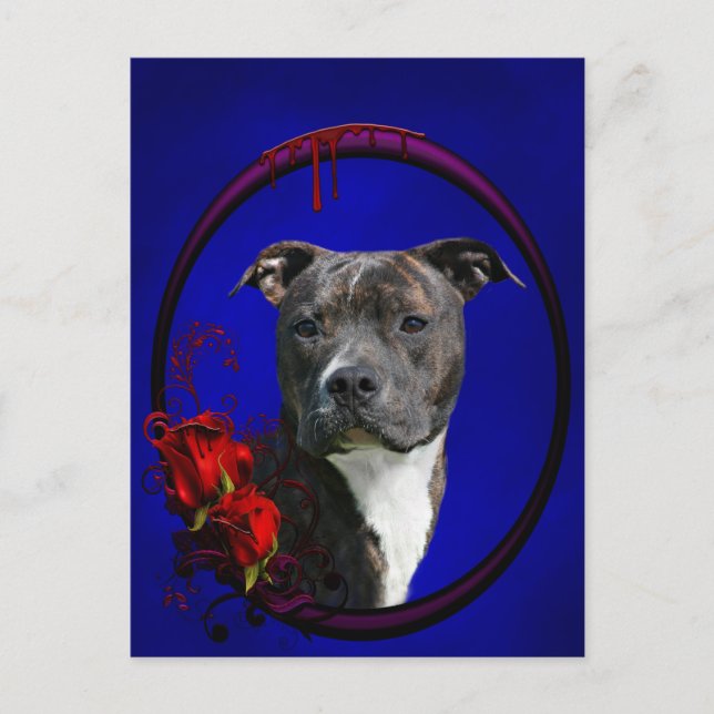 Cartão Postal Brindle pitbull com rosas (Frente)
