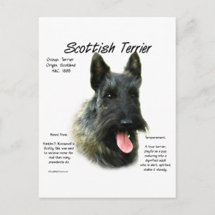 Cartão Postal Brindle Scottish Terrier History