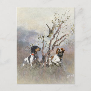 Cartão Postal Brittany Spaniel