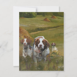 Cartão Postal Brittany Spaniel