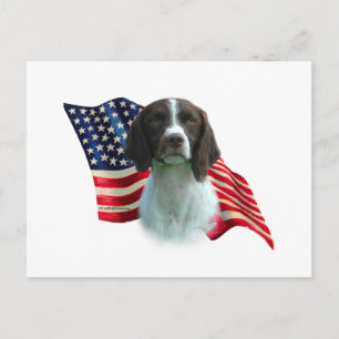 Cartão Postal Brittany Spaniel Flag