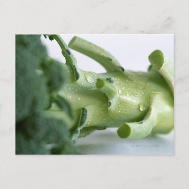 Cartão Postal Broccoli (Frente)