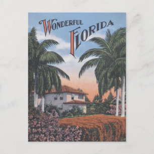 Cartão Postal Brochura Vintage Florida