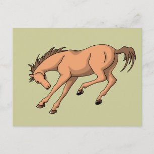 Cartão Postal Bronco