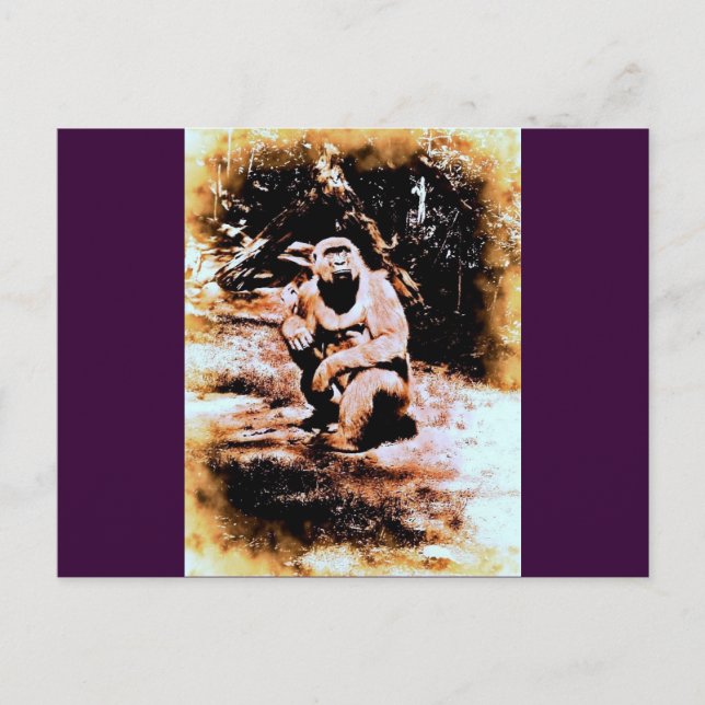 Cartão Postal Bronx Gorilla (Frente)