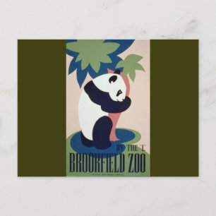 Cartão Postal Brookfield Zoo Panda