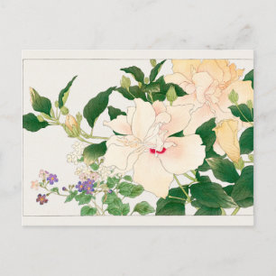Cartão Postal Browallia, Hibiscus por Tanigami Konan