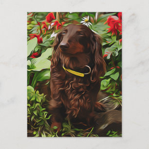 Cartão Postal Brown Dachshund Sentado No Jardim Com Flor
