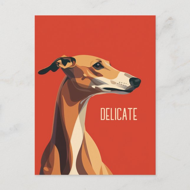 Cartão Postal Brown Delicate Greyhound (Frente)