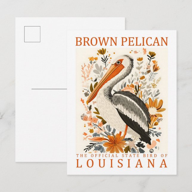 Cartão Postal Brown Pelican Bird, Viagem da Louisiana EUA (Frente/Verso)