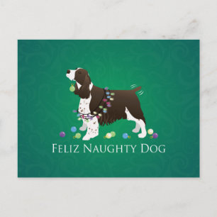 Cartão Postal Brown Springer Spaniel Dog Feliz Naughn