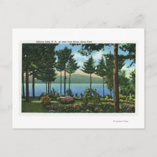 Cartão Postal Brown Swan Park View of the Lake