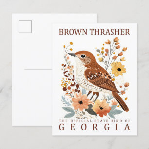 Cartão Postal Brown Thrasher Bird, Viagem da Georgia USA