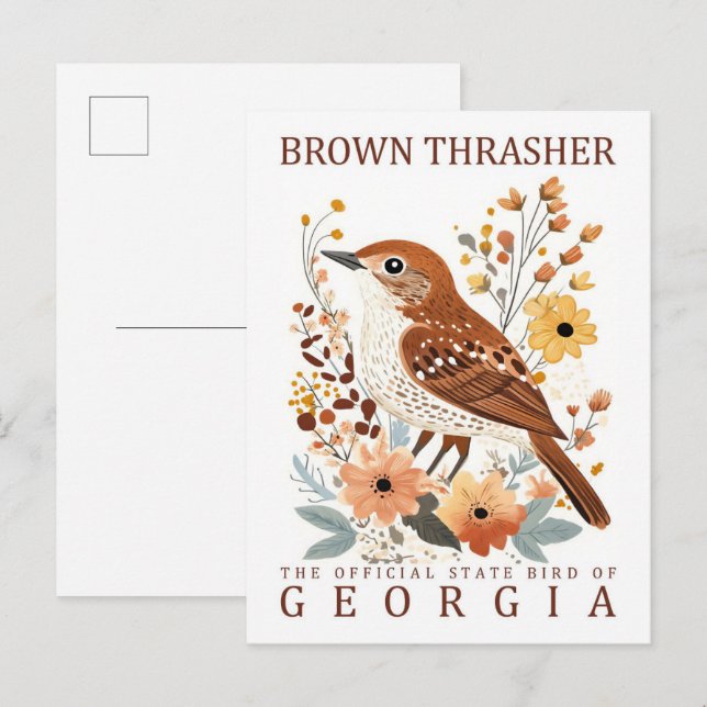 Cartão Postal Brown Thrasher Bird, Viagem da Georgia USA (Frente/Verso)