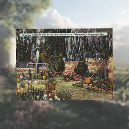 Cartão Postal Brownie Gardens Wormsloe Savannah GA retro