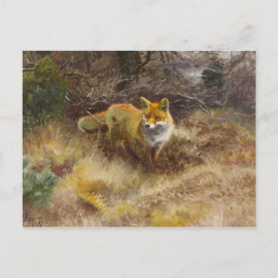 Cartão Postal Bruno Liljefors - Raposa e Paisagem