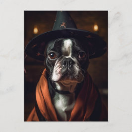 Cartão Postal Bruxa Adorável de Boston Terrier