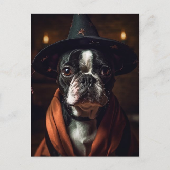 Cartão Postal Bruxa Adorável de Boston Terrier (Frente)