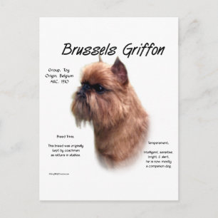 Cartão Postal Bruxelas Griffon History