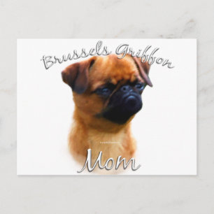 Cartão Postal Bruxelas Griffon Mãe 2
