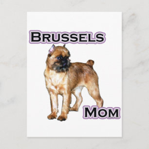 Cartão Postal Bruxelas Griffon Mãe; Mãe de Bruxelas Griffon