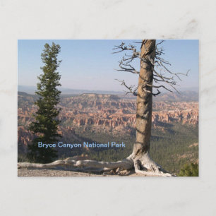 Cartão Postal Bryce Canyon