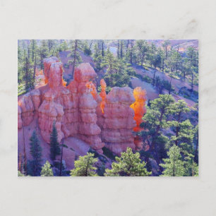 Cartão Postal Bryce Canyon a brilhar