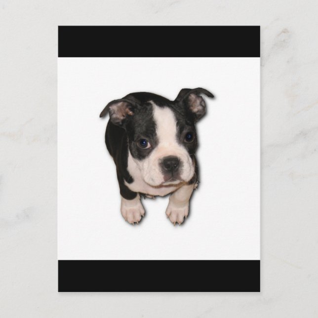 Cartão Postal BTpup (Frente)