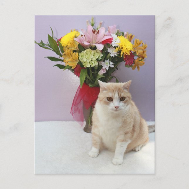 Cartão Postal Bubba por Flores (Frente)