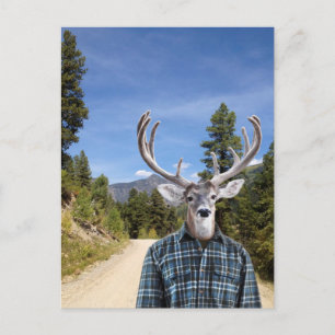 Cartão Postal Buck com Antlers Vestindo Camisa Xadrez Azul