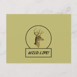 Cartão postal Buck Head Dark Khaki