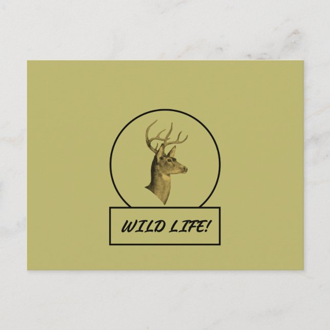 Cartão postal Buck Head Dark Khaki (Frente)