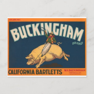 Cartão Postal Buckingham