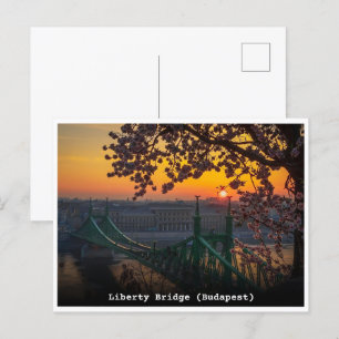 Cartão Postal budapest hungary hungary vintage free bridge prese