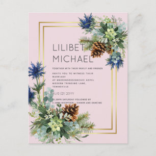 Cartão Postal BUDGET Blue Thistle Eucalyptus Wedgland