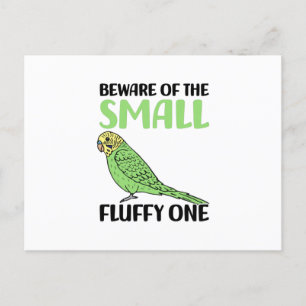Cartão Postal budgie