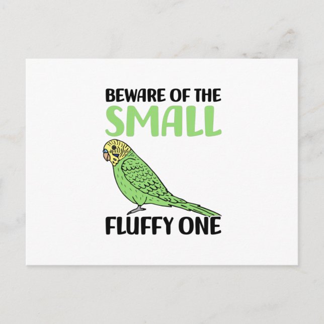 Cartão Postal budgie (Frente)