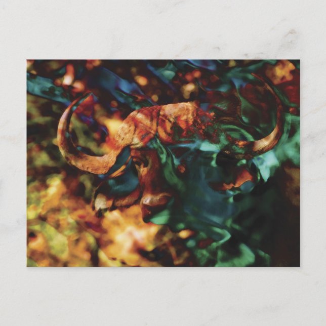 Cartão Postal Búfalo Ripple Arte (Frente)