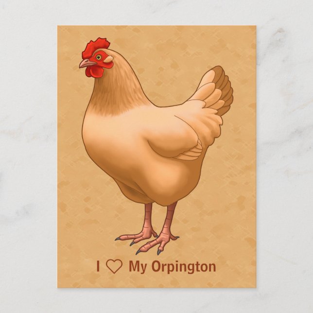 Cartão Postal Buff Orpington Chicken Hen (Frente)