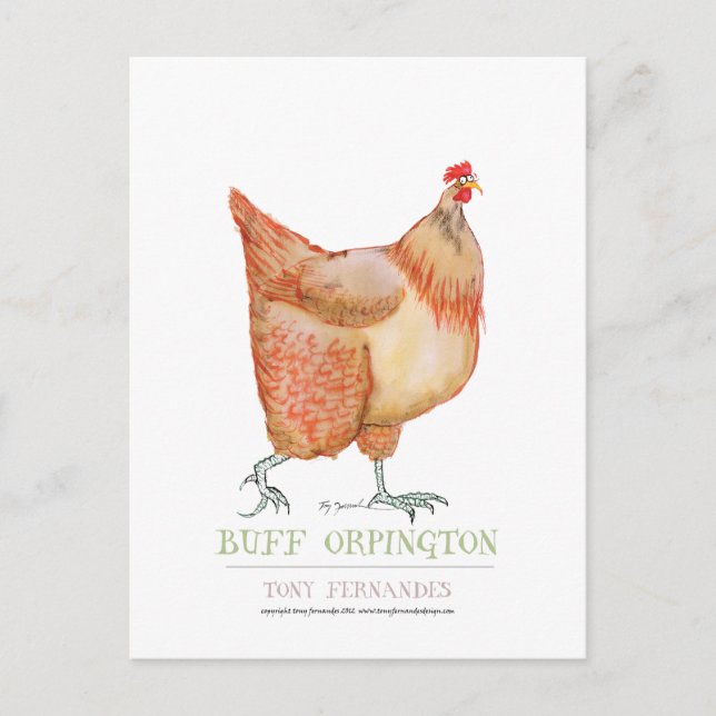 Cartão Postal Buff Orpington hen, tony fernandes (Frente)
