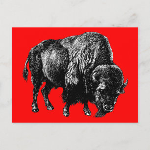 Cartão Postal Buffalo American Bison Vintage Wood Engrenando