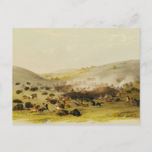 Cartão Postal Buffalo Hunt, Surround, c.1832
