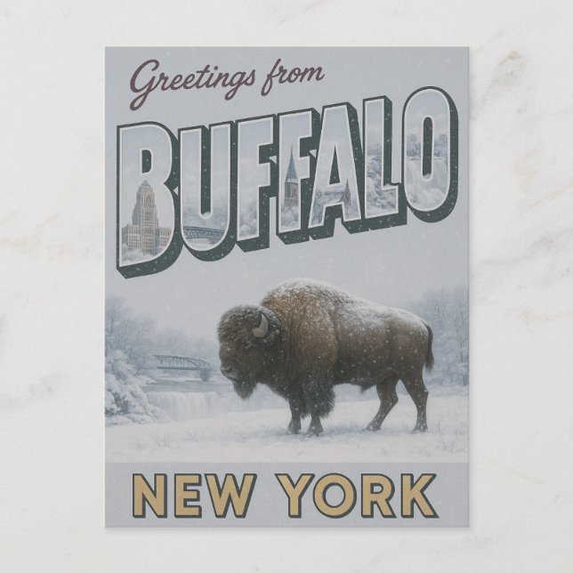 Cartão Postal Buffalo New York Winter (Frente)