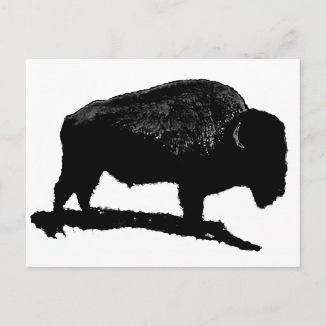 Cartão Postal Buffalo Preto e Branco (Frente)
