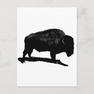 Cartão Postal Buffalo Preto e Branco