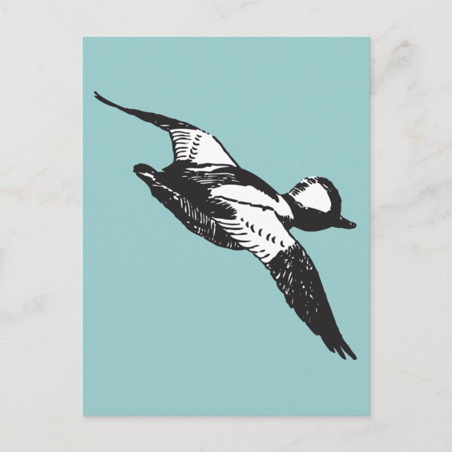 Cartão Postal Bufflehead Sketch (Frente)