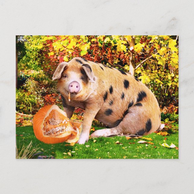 Cartão Postal "Buffy's Pumpkin"  (Frente)