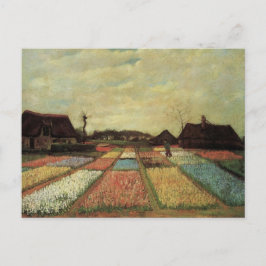 Cartão Postal Bulb Fields de Vincent van Gogh.