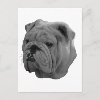 Cartão Postal Buldogue