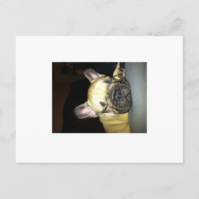 Cartão Postal Buldogue francês (Frente)